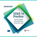 SSbD in Practice